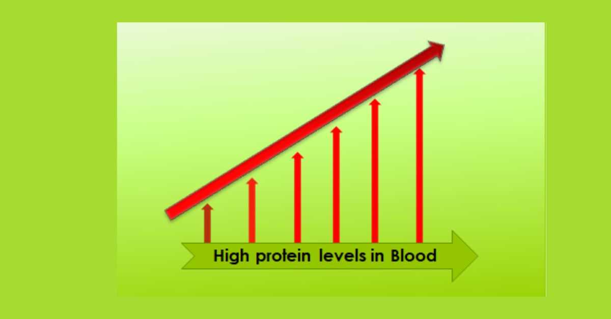 High protein levels in Blood